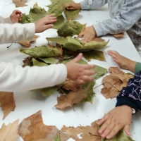 M'agrada la tardor 🍂