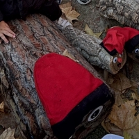 Una tardor plena d'experiències 🍂🎼🪴🪵